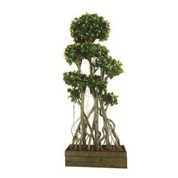 Kunstig kinesisk Banyan Tree