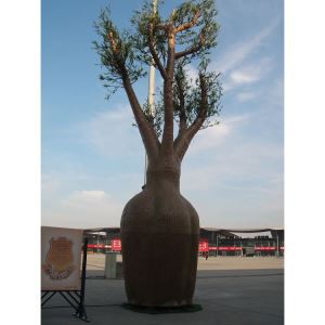 Faux Baobab Tree