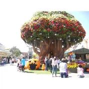 Tre på Everland Theme Park