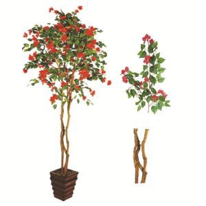 Silke Bougainvillea Tree